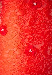Κόκκινο δαντελωτό ύφασμα με λουλουδάτα σχέδια, υφασμάτινες λεπτομέρειες και κόκκινα λουλούδια με πέρλες. Οπτικές λεπτομέρειες σύνθετου σχεδιασμού είναι ορατές.
