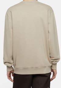 Felpa beige con spalle scese, polsini e orlo ribattuti. Texture morbida e design semplice; senza decorazioni o motivi visibili.
