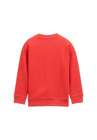 Roter Sweatshirt mit langen Ärmeln, geripptem Rundhalsausschnitt und Bündchen. Weiche Textur, lockere Passform und schlichte Rückengestaltung.