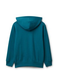 Felpa con cappuccio color teal con finitura testurizzata, caratterizzata da una tasca a marsupio, polsini e orlo a coste. Vista posteriore, senza grafiche o dettagli aggiuntivi.