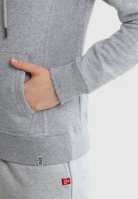 Big Star LAURISANA - Lukuga pusa - grau