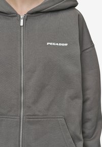 Pegador CLARITA OVERSIZED  - Mikina so zipsom - washed deep grey,white gum