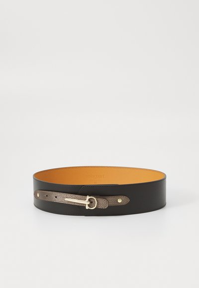 Curea din piele neagră cu o finisare netedă, având un brâu texturat de culoare maro și accesorii de nuanță aurie; căptușeală interioară de culoare bej contrastantă.