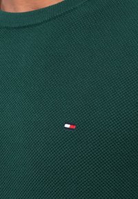 Grüner gestrickter Pullover mit Rundhalsausschnitt und einem kleinen gestickten Logo in Rot, Weiß und Blau auf der linken Brust.