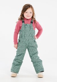 Protest - PRTTUVA TD - Pantalon de ski - green baygreen Image miniature 1