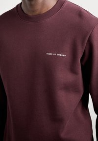Primo piano di una persona che indossa una felpa bordeaux con il testo bianco "TIGER OF SWEDEN" sul lato sinistro del petto.