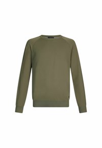 Maslinasto zelen sweatshirt s okruglim izrezom, raglan rukavima te rebrastim manžetama i rubom. Glatka tekstura tkanine, minimalistički dizajn, bez uzoraka.
