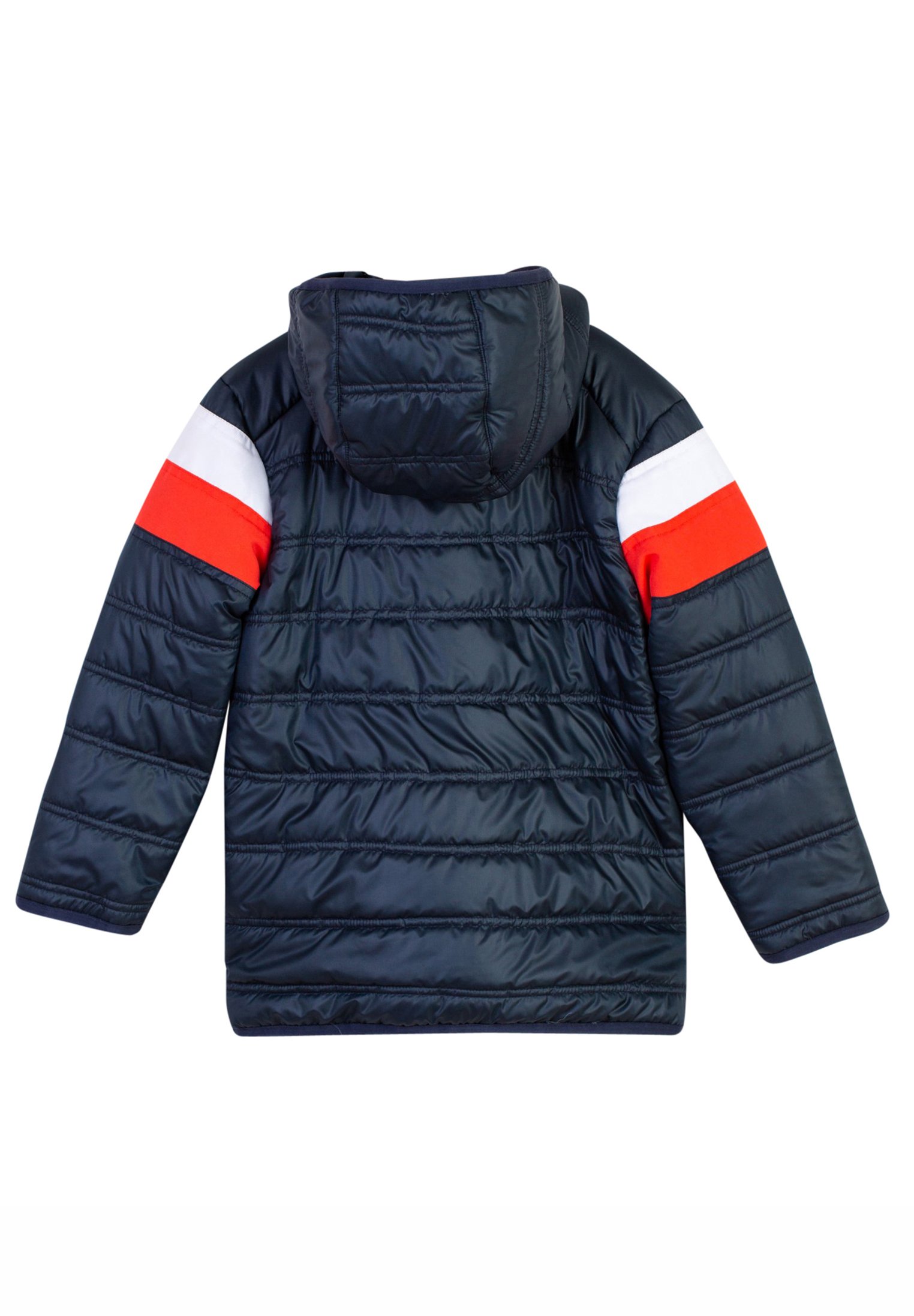 Bugatti Giacca invernale - navy blazer/blu - Zalando.it