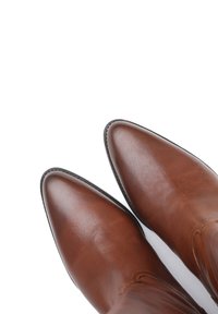 Botas de tobillo de cuero marrón con forma de puntera puntiaguda, textura suave y detalles de costura a lo largo de las costuras. Diseño minimalista, sin logotipos visibles.