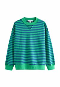 Next STRIPED RAW EDGE SEAM DETAILING CREW NECK - Mikina - blue green