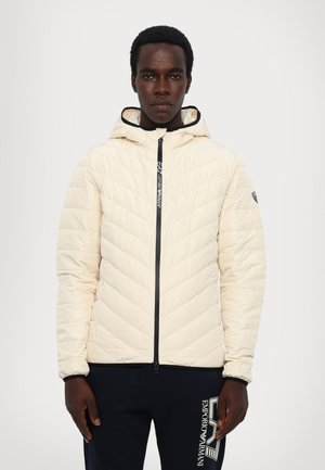 TRAIN PREMIUM  JACKET - Piumino - whitecap/gray