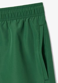 Grüne Sportshorts aus glattem Stoff, mit einem elastischen Bund und Seitentaschen, die dezente Stitching-Details aufweisen.