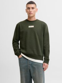 Ung mand iført en olivengrøn sweatshirt med "Jack & Jones"-logo, en hvid skjorte, der stikker frem, og slidte blå jeans, stående foran en ensfarvet baggrund.