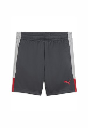 INDIVIDUALLIGA TRAINING  JR - Športové šortky - gray echo-dusky gray-puma red
