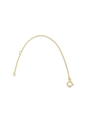 Goldene Kettenverlängerung mit Gliedern. Verfügt über einen Karabinerverschluss an einem Ende und zwei Schlaufen zur Befestigung. Glatte Textur und glänzendes Finish.