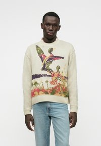 Pull en maille beige avec un motif d'oiseaux multicolores et de paysage, col rond, poignets et ourlet côtelés, coupe ample, tissu texturé.