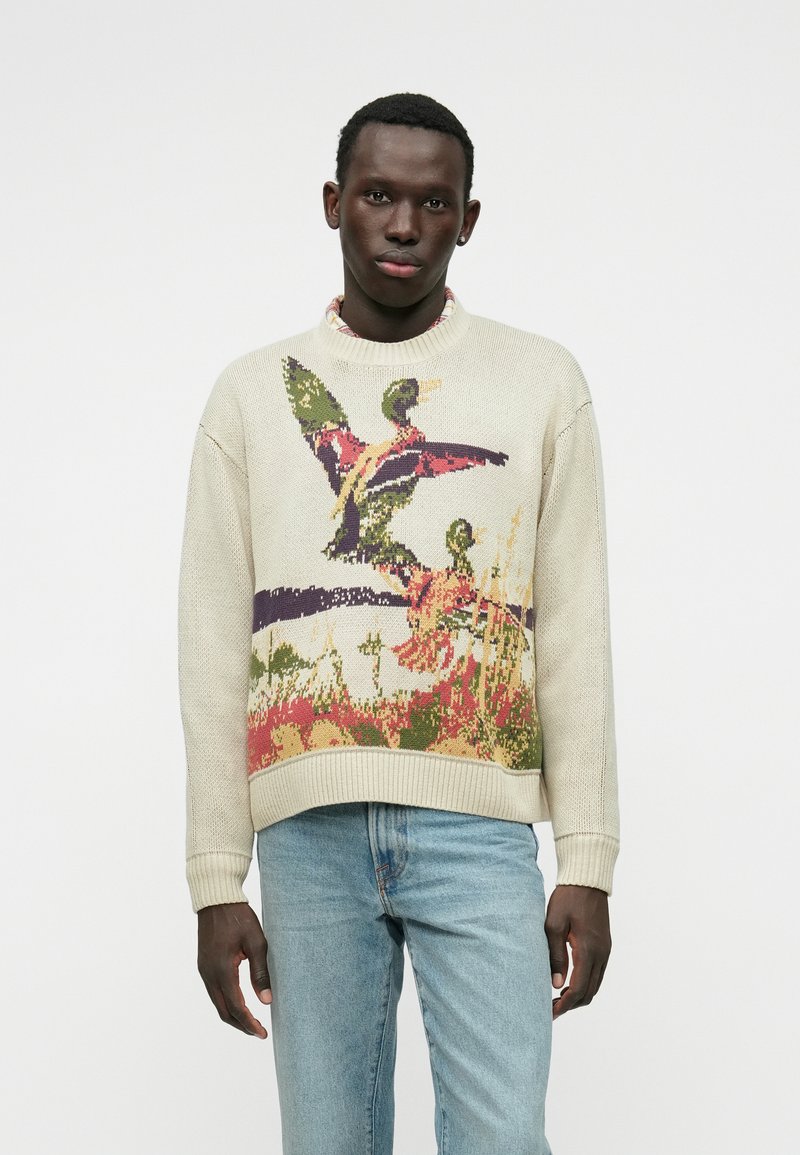 Pull en maille beige avec un motif d'oiseaux multicolores et de paysage, col rond, poignets et ourlet côtelés, coupe ample, tissu texturé.