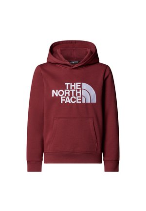 The North Face UNISEX - Jersey con capucha - sumac