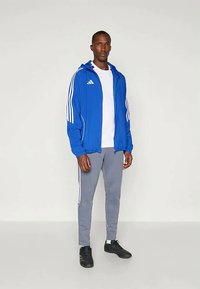 Niebieska kurtka sportowa z białymi paskami, połączona z szarymi spodniami dresowymi z akcentami w paski. Czarne buty sportowe uzupełniają strój.