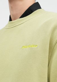 Gros plan sur une personne portant un sweat-shirt vert clair avec le logo jaune "Dickies" brodé sur la poitrine, par-dessus une chemise noire à col.
