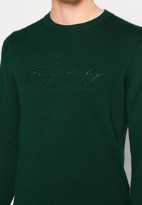 Vihreä puuvillainen pyöreäkauluksinen neule, jossa teksturoitu "Tommy Hilfiger" -logo samansävyisellä vihreällä langalla rinnassa. Pehmeä, istuva malli.