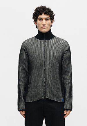 Άνδρας με σγουρά μαλλιά που φοράει μαύρο και γκρι πουλόβερ με κάθετες ρίγες και φερμουάρ, με ψηλό γιακά, στέκεται μπροστά σε απλό λευκό φόντο.