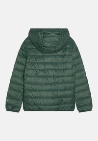 Quiksilver SCALY YOUTH - Ziemas jaka - forest
