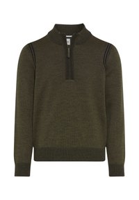 Strickpullover in dunkelolivgrün mit hohem Kragen, Viertelreißverschluss, gerippten Bündchen und Schulterakzenten mit blauen Streifen.