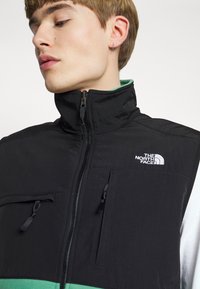 The North Face DENALI VEST - Brezrokavnik - deep grass green