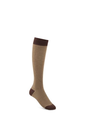 Kniestrumpf in Beige mit dunkelbraunem Bündchen, Absatz und Spitze, aufrecht vor weißem Hintergrund gezeigt.