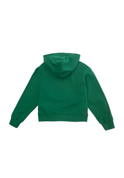 Felpa verde semplice con cappuccio, maniche lunghe e polsini a costine, vista da dietro su uno sfondo bianco.
