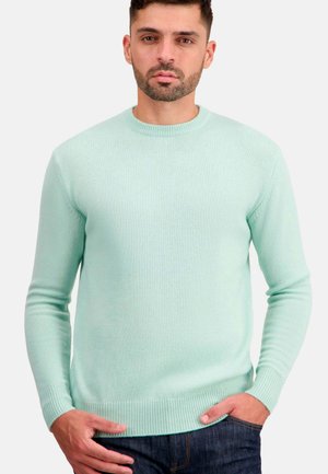Mahogany TOURAINE-FIRST - Pullover - light green