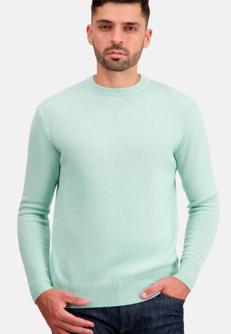 Mahogany TOURAINE-FIRST - Pullover - light green