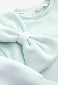 Licht mintgroene sweatshirt met een grote strikaccent. Functies zachte textuur, ronde halslijn en geribbelde mouwen. Casual, iets cropped ontwerp.