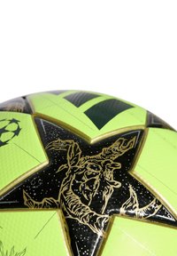 Futbola bumba ar spilgtu zaļo un melno dizainu. Iezīmējusies zvaigžņu formā ar zelta akcentiem un sarežģītām apdrukām, kas attēlo savvaļas dzīvniekus.