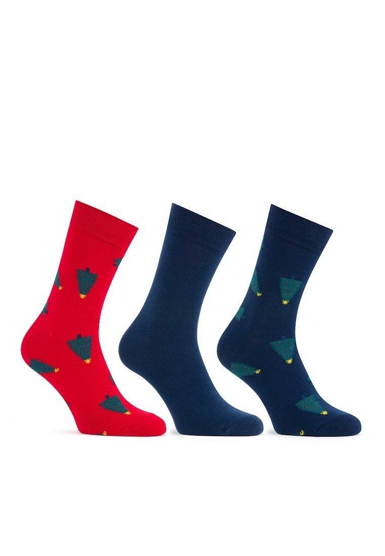 Trzy pary skarpetek: czerwone w zielony wzór drzew, jedne w jednolitym granatowym kolorze oraz granatowe w zielone drzewa i żółte gwiazdy. Wykonane z bawełny, o wysokości do połowy łydki.