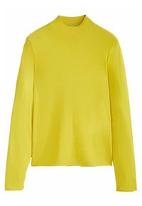 Massimo Dutti Neule - light green