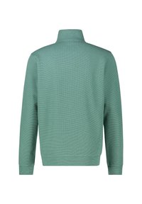 Groene, langwerpige trui met lange mouwen en hoge kraag, ribbeltextuur en rekbare manchetten. Eenvoudig ontwerp, geen zichtbare patronen of hardwaredetails.