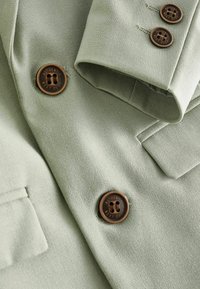 Next REGULAR FIT - Korte frakker - sage green