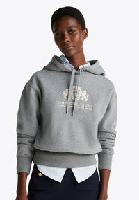 Felpa grigia in cotone misto, con logo frontale, cappuccio regolabile con cordino e polsini a costine. Indossata sopra una camicia bianca a righe con bottoni.