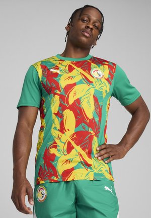 SENEGAL FSF PREMATCH JERSEY - Article de supporter d'équipe nationale - sport green aster yellow  red