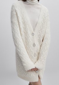 Massimo Dutti Kardigan