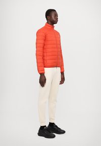 EA7 Emporio Armani TRAIN CORE JACKET - Piumino - summer fig
