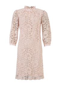 Krajková šaty v jemné růžové barvě, s vysokým nařaseným límcem, tříčtvrtečními rukávy a květinovými vzory. Spodní část je zvlněná. Lehce padající látka.