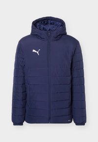 Επιλέχθηκε, navy/silver-coloured