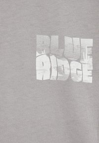 Pelēka kokvilnas t-kreklu ar nolobītu balto drukājumu, uz kura ir uzraksts "BLUE RIDGE". Audumam ir gluda tekstūra un apaļa kakla izgriezums.