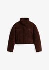 PUFFER JACKET - Vinterjakke - rich brown
