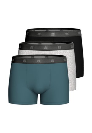 Muskularny mężczyzna z krótkimi włosami, ubrany w turkusowe bokserki z czarnym paskiem, stojący na jednolitym jasnoszarym tle.