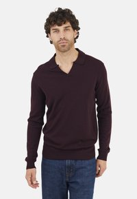 Bordeaux lange mouwen polo sweater met een V-hals en een zachte textuur. Gecombineerd met blauwe denim jeans, minimalistisch ontwerp en zonder zichtbare patronen.