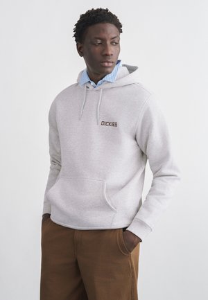 PAYSON - Kapuutsiga pusa - light gray